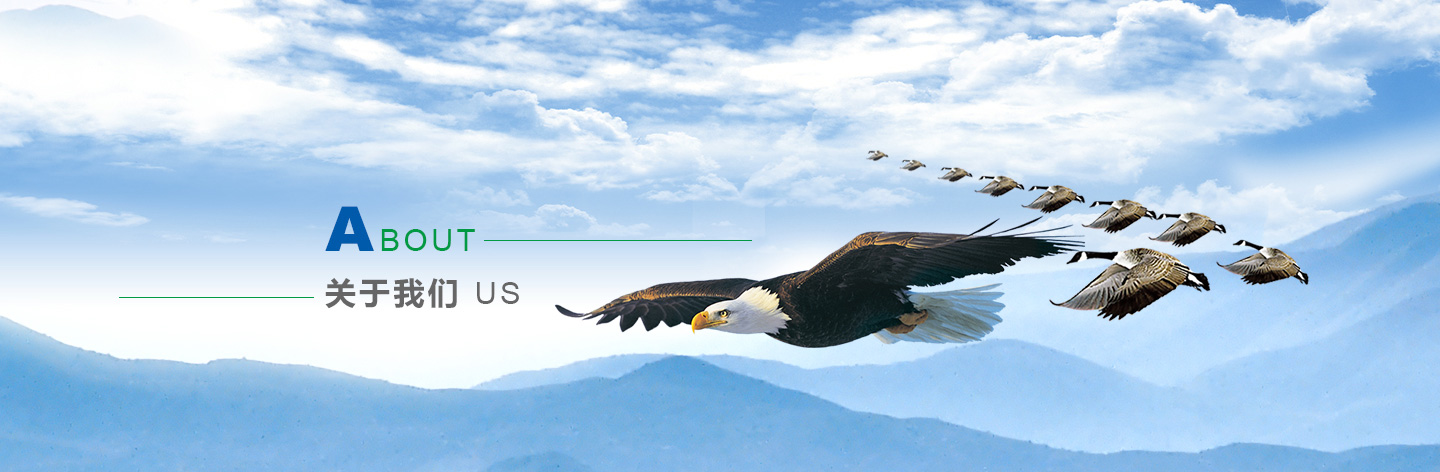 關(guān)于我們