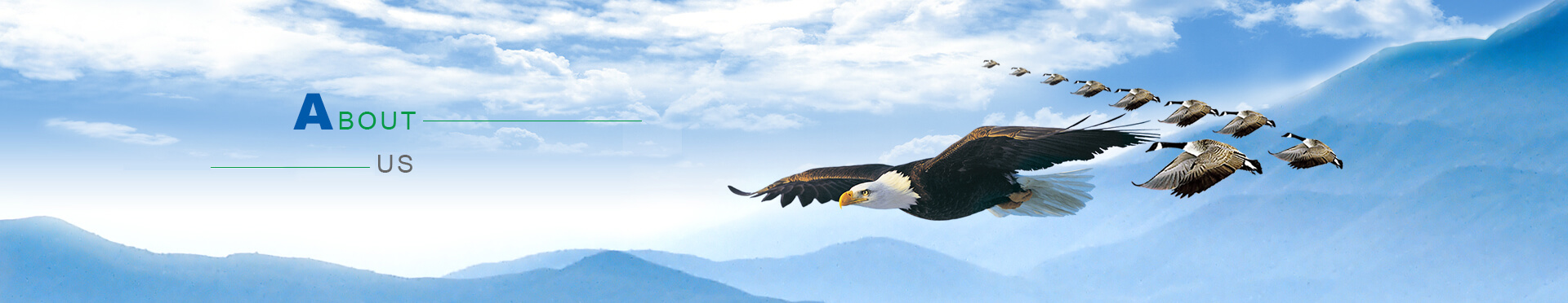 關(guān)于我們